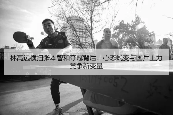 lin-gao-yuan-heng-sao-zhang-ben-zhi-he-duo-guan-bei-hou-xin-tai-tui-bian-yu-guo-ping-zhu-li-jing-zheng-xin-bian-liang-2-130.jpg